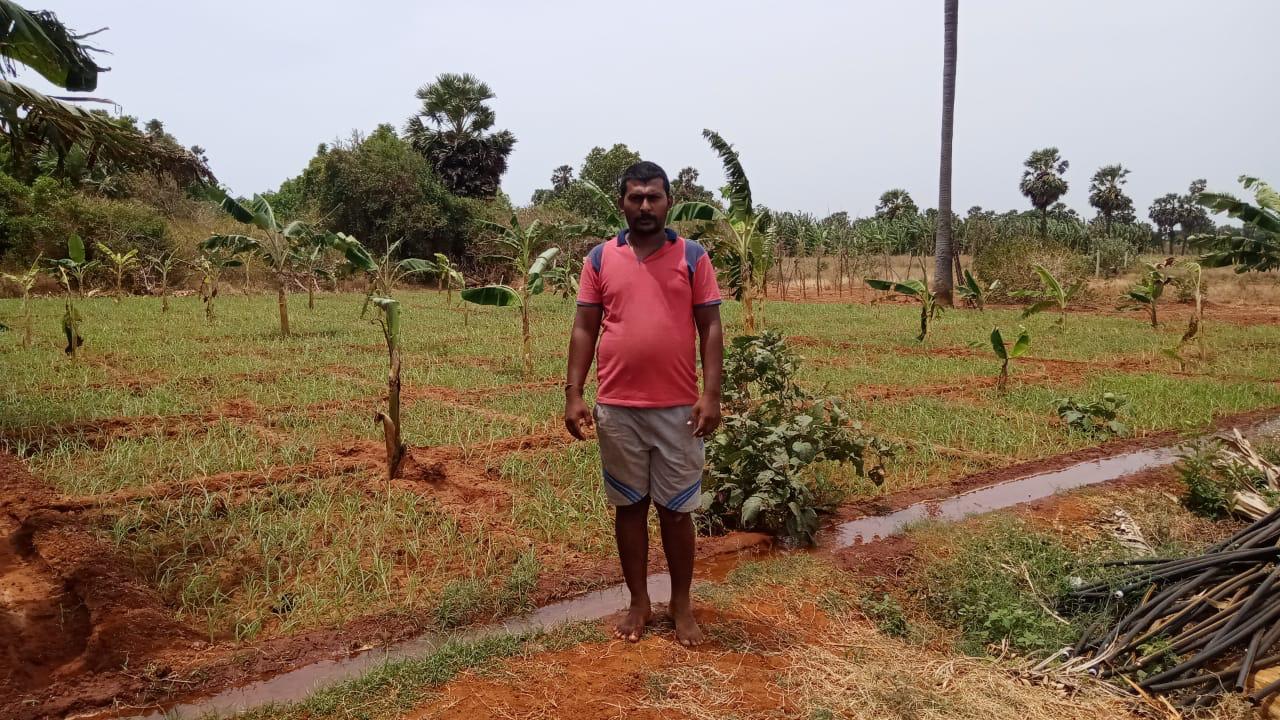 Case Story Varathakaran Vijayanan Thaiyiddy South Improvement of livelihood through Vegetable cultivation