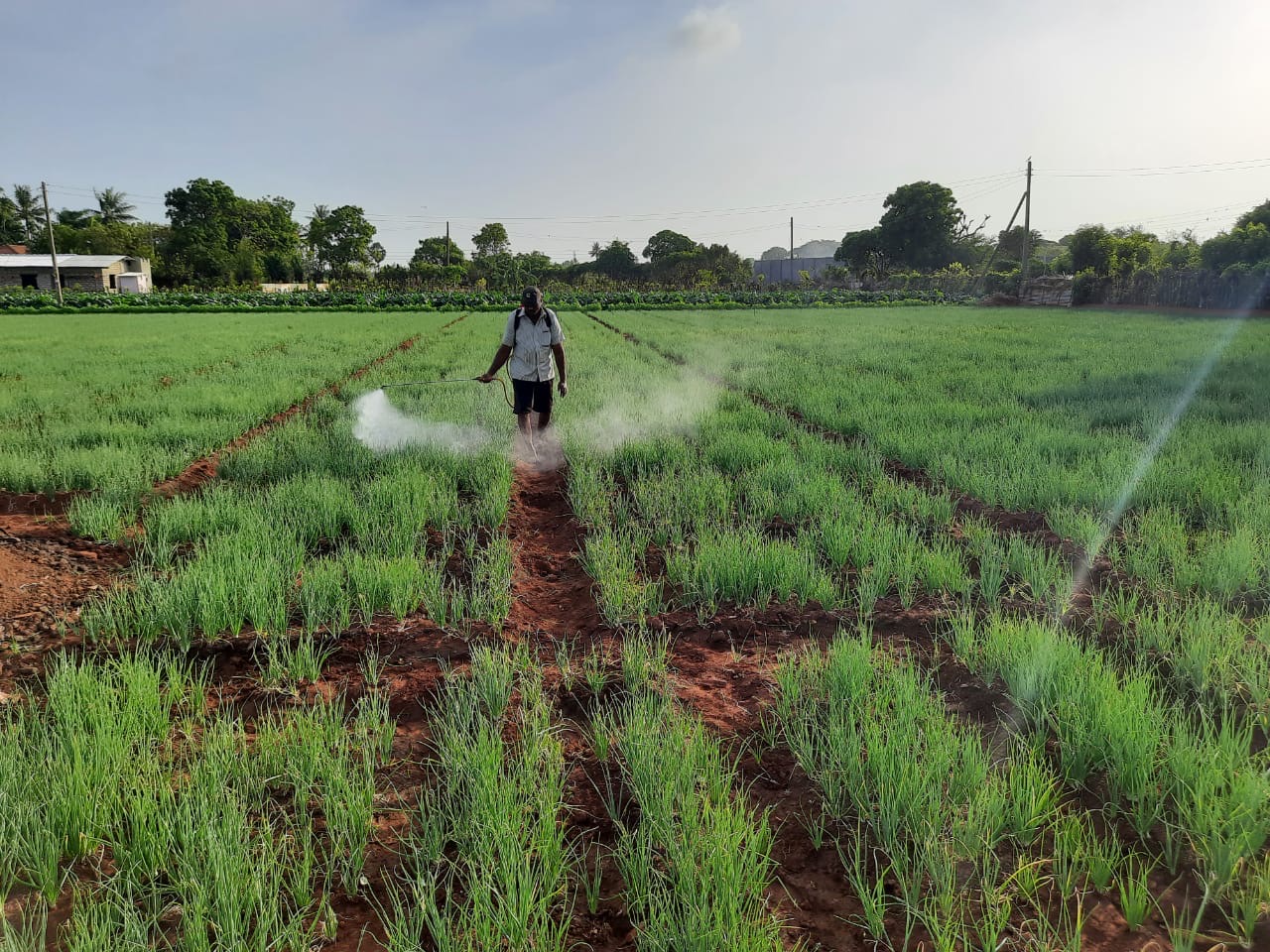 Support for Durable Resettlement (SDR – Y3)