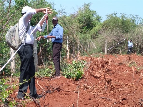 The land is being surveyed and divided for farming allocations.